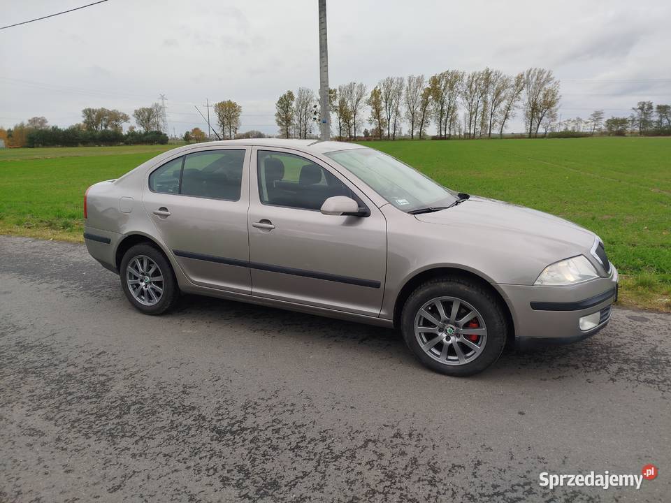 sprzedam skoda octavia II 2007r 19 tdi 105 salon Octavia Golina