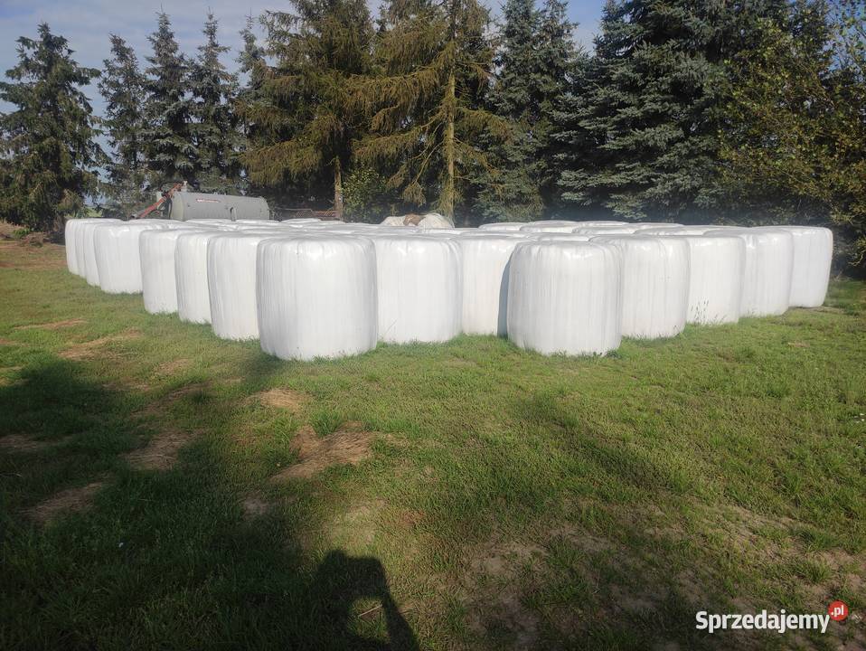 Sprzedam sianokiszonkę sprzedam