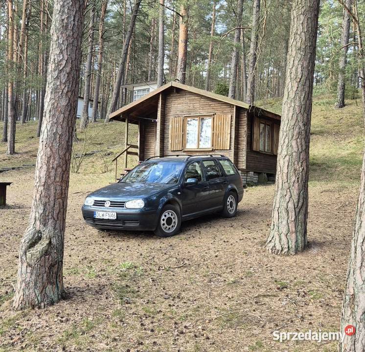 Vw Golf 4x4 4motion ASR (kontrola trakcji) Ząbkowice Śląskie