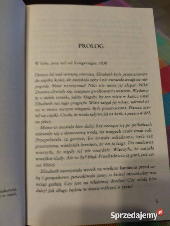 Saga Czas milczenia bez tomu 41 dolnośląskie