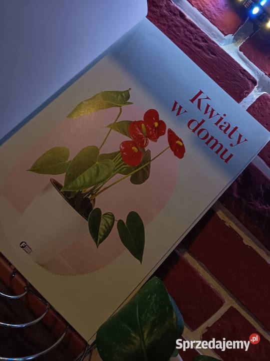 PoradnikAlbum Kwiaty w Domu Aranżacja i Bydgoszcz