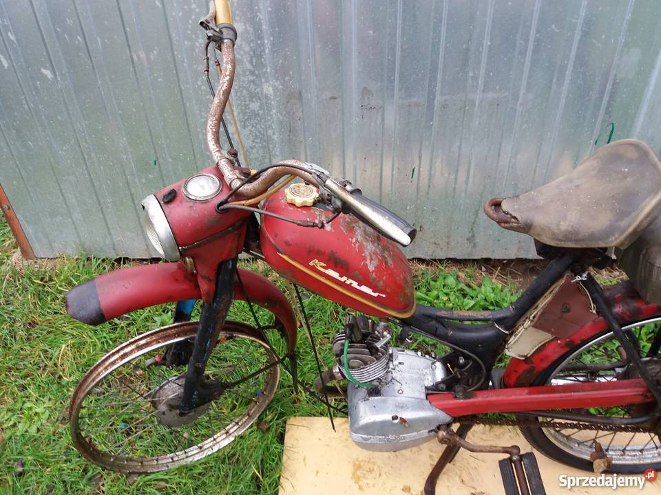 Komar sztywniak 1967 Poznań