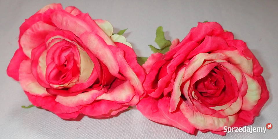 Róże rozwinięte różne kolory 1 śr 115 LA623 śląskie Siewierz