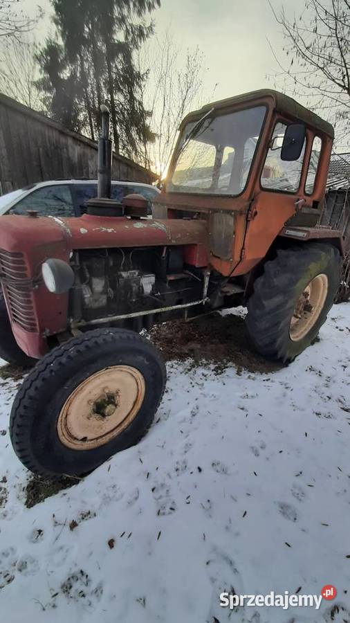 Zetor Super 50 Tarnówek
