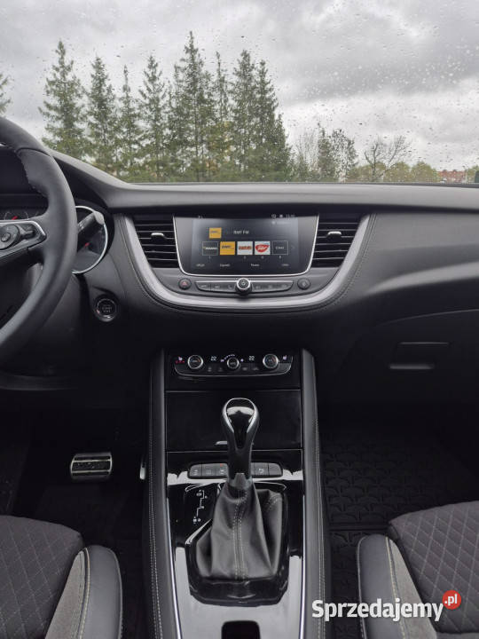 Opel Grandland X Ultimate 16 Turbo 180 AT8 garażowany Giżycko