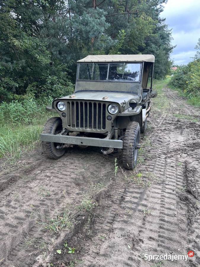 Jeep Willys MB Willys sprzedam