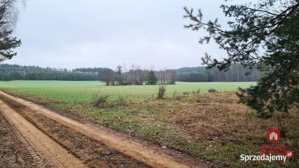 Grunt Pieńki 1743m2 sprzedam