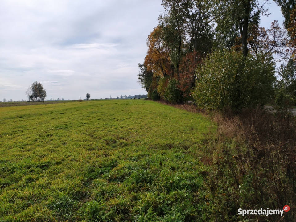 Kwadratowa działka ponad 3000 m z WZ przestrzeń asfalt Sprzedaż mazowieckie Stawek