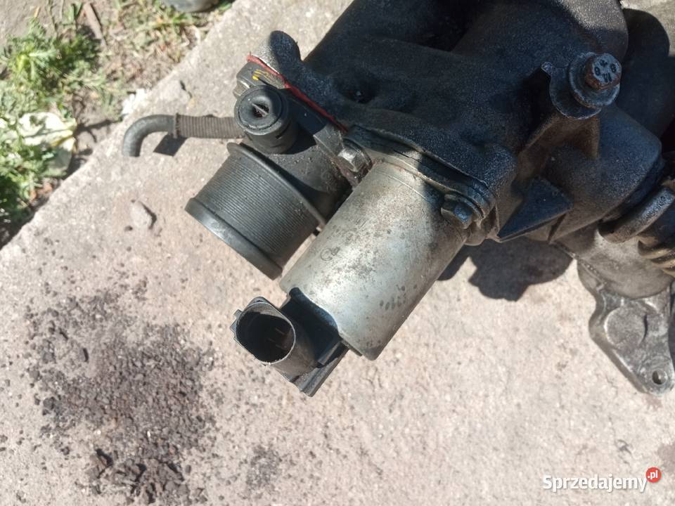 Kolektor ssący renault laguna ll 19 DCi Posługowo