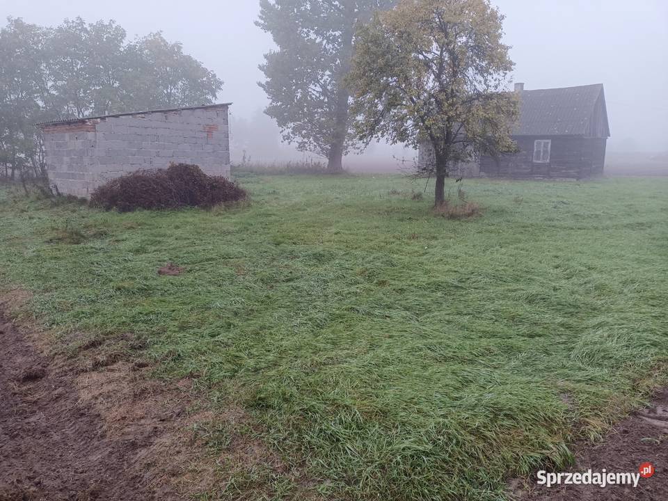 dzialka 17 ar z budynkami i mediami Sprzedaż Konopnica