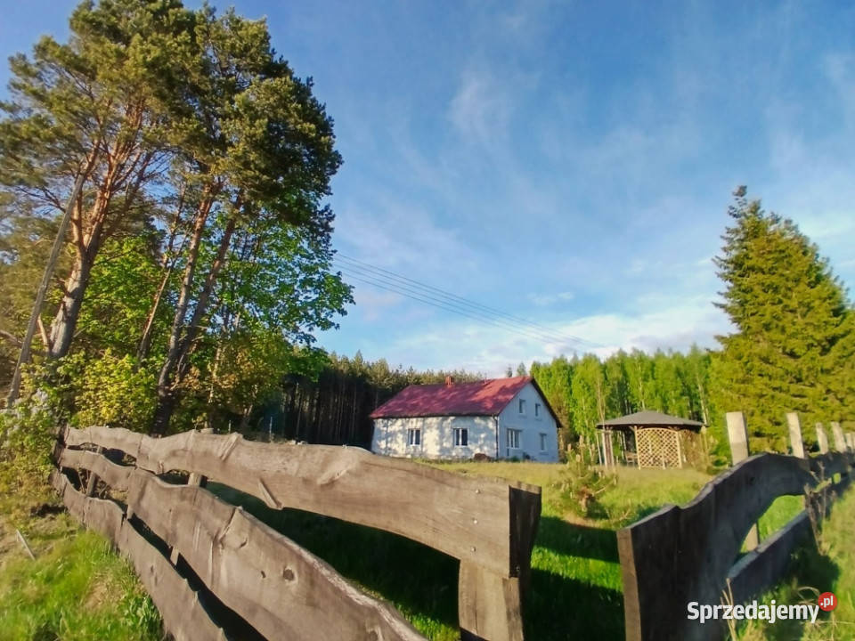 Stryjkowo dom na wsi las cisza 3000 m2 siedlisko piwnica