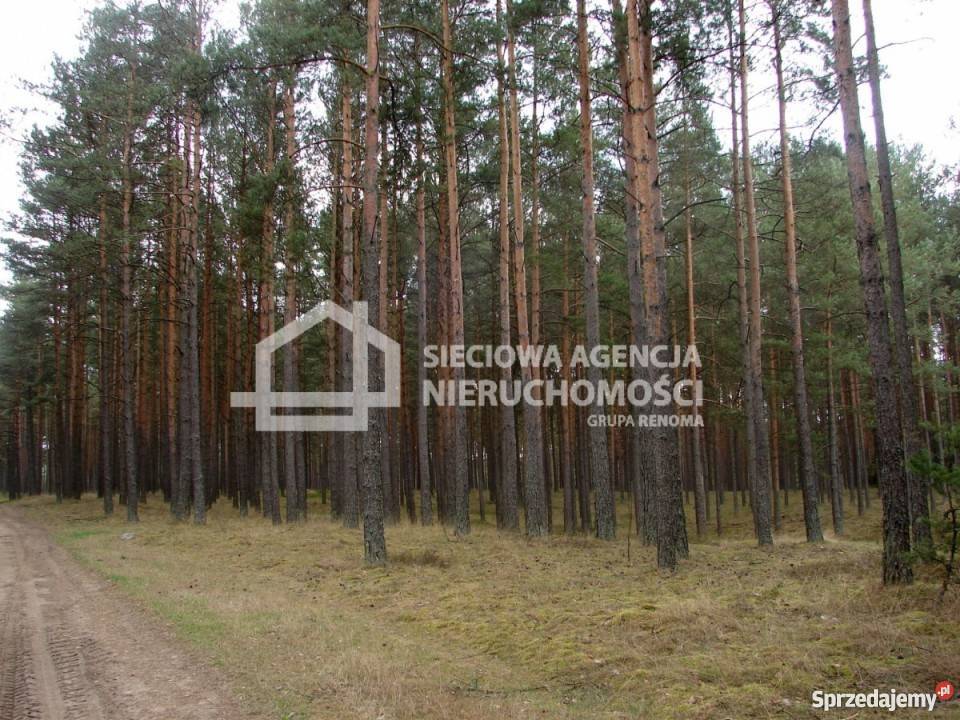 Sprzedaż działki 165900m2