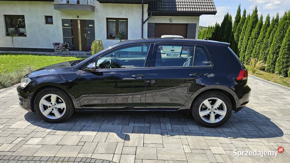 Volkswagen Golf VII 20 TDI 150 Stróże sprzedam