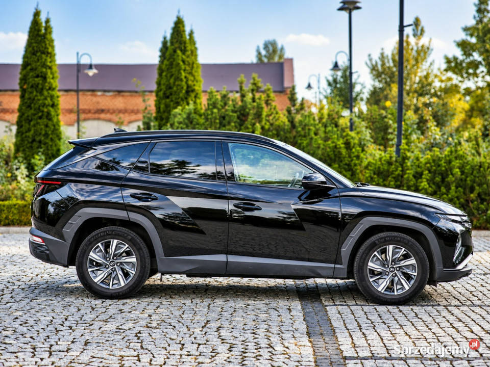 Hyundai Tucson IV 2020 nieuszkodzony Tucson wielkopolskie Sadlno