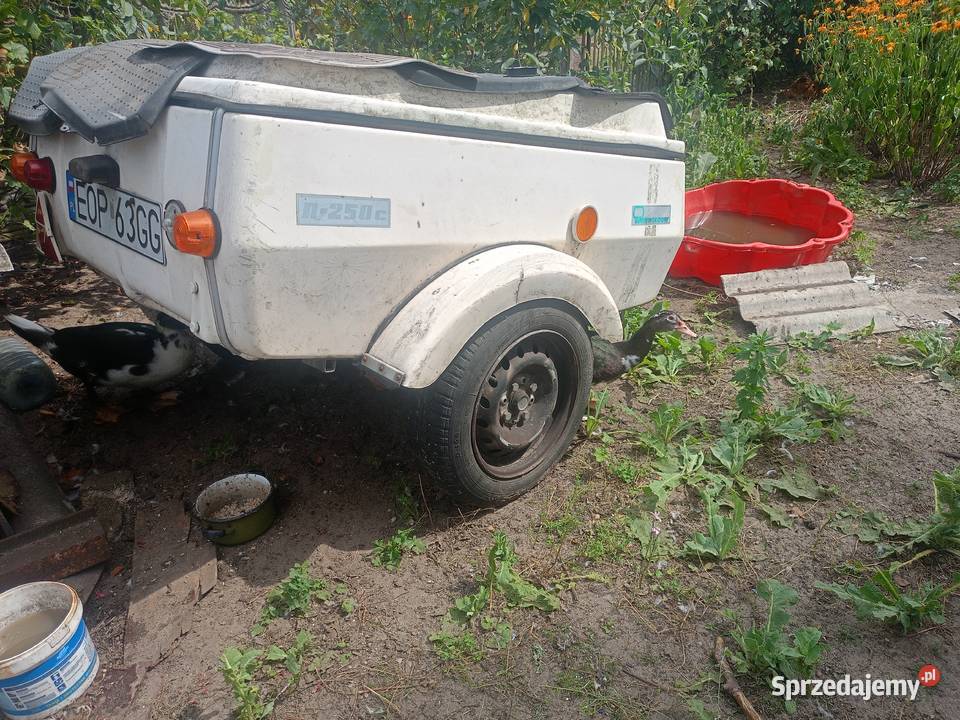 n250 z dokumentami OC do konca roku Opoczno