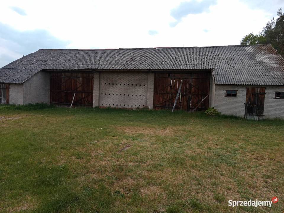 Gospodarstwo rolne na sprzedaz 52000m2 Wygnanka