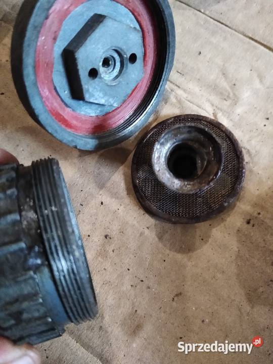 Wfm osa pozostalosc Kruszwica