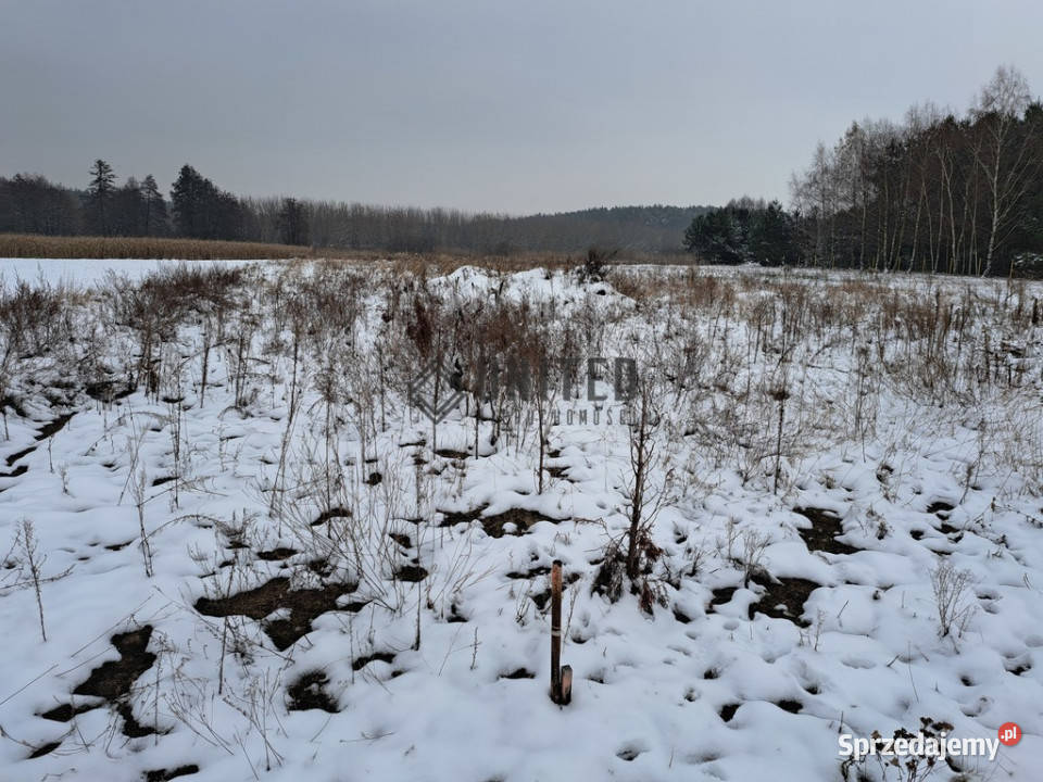 Działki budowlane Miłocice Małe budowlana sprzedam