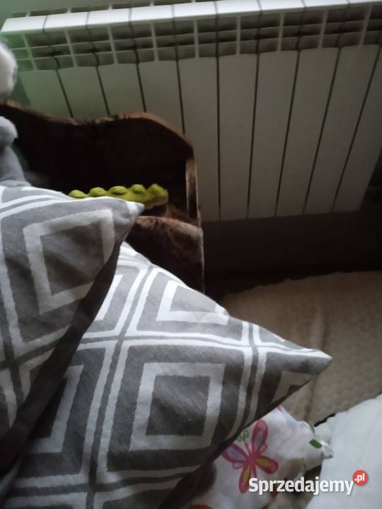Grzejnik aluminiowy wloski nowy Leżajsk