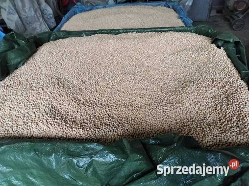 groch astronaute Zboża Sandomierz