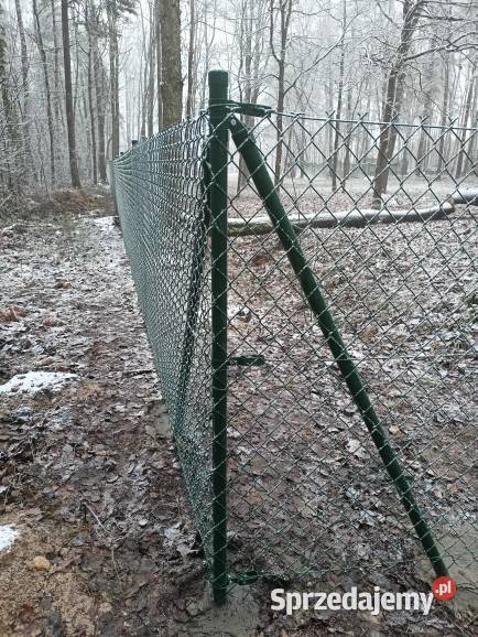OgrodzeniaIMontażISiatka ogrodzeniowaIPanele