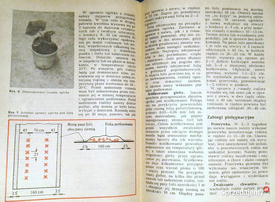 Warzywa o soczystych owocach Stanisław Rok wydania 1985 Pozostałe lubelskie Chełm