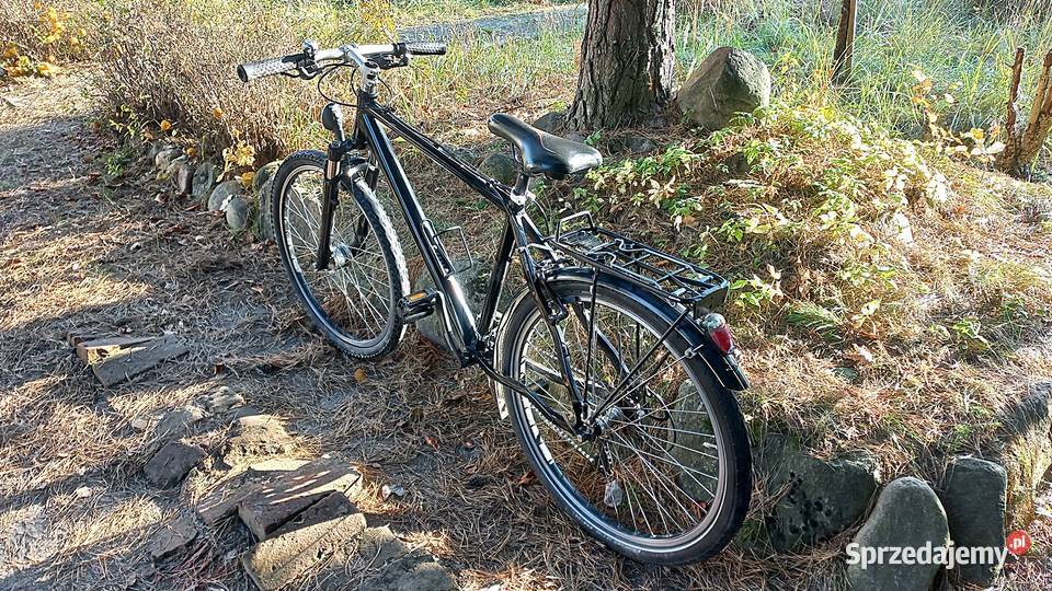 Alu Czarny Rower Miejski Męski 3x8 Alivio Wołów