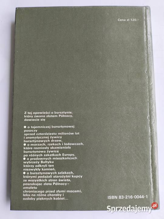 Złoto Północy Opowieści o bursztynie Anna Gdynia