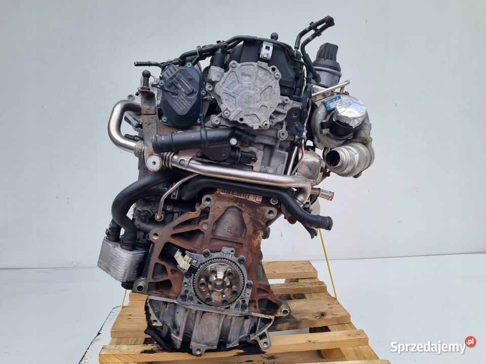 SILNIK KOMPLET VW Passat B6 20 TDI 140 Janów