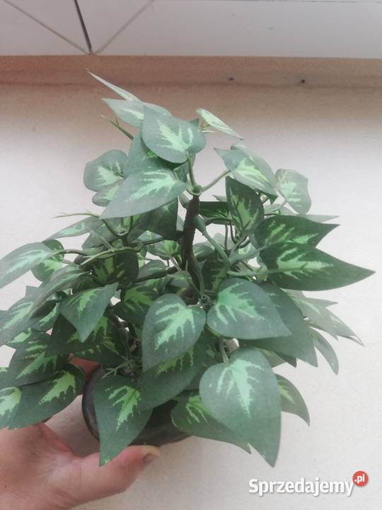 Drzewko sztuczne dekoracyjne Sztuczne kwiaty i owoce Warszawa