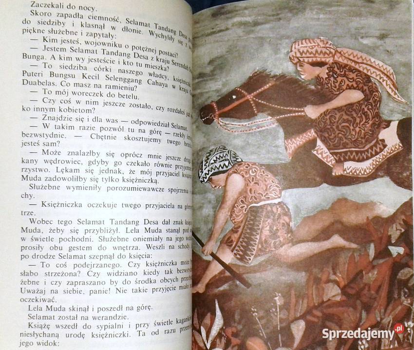 Skamieniały statek Baśnie malajskie Robert