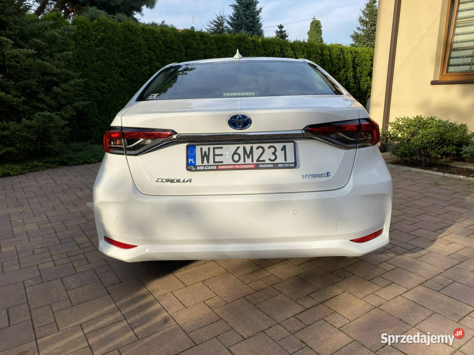 Toyota Corolla I Wł Kraj Bezwypadkowy 100 Serwis Corolla Pruszków