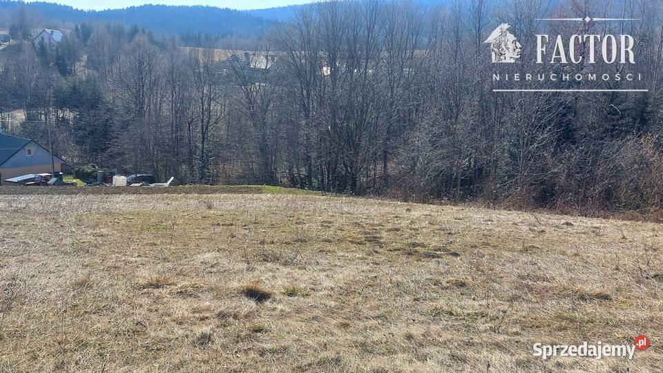 Działka budowlana 1279 ara Bieśnik gm Łużna