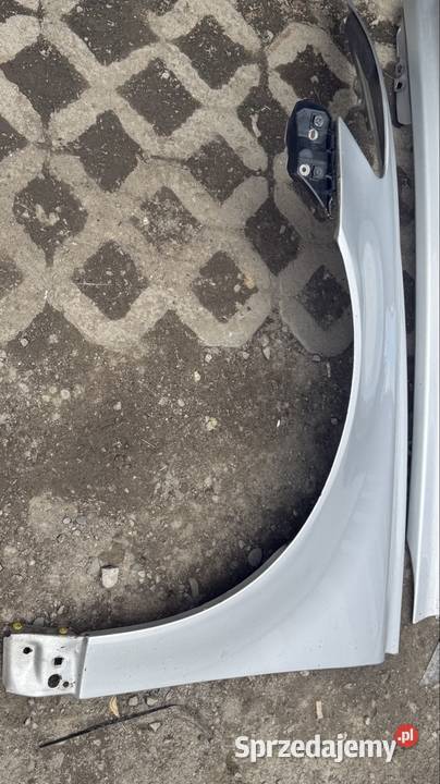 Błotniki Przód Lewy Prawy Volvo V50 S40 II Kod Nowy Sącz