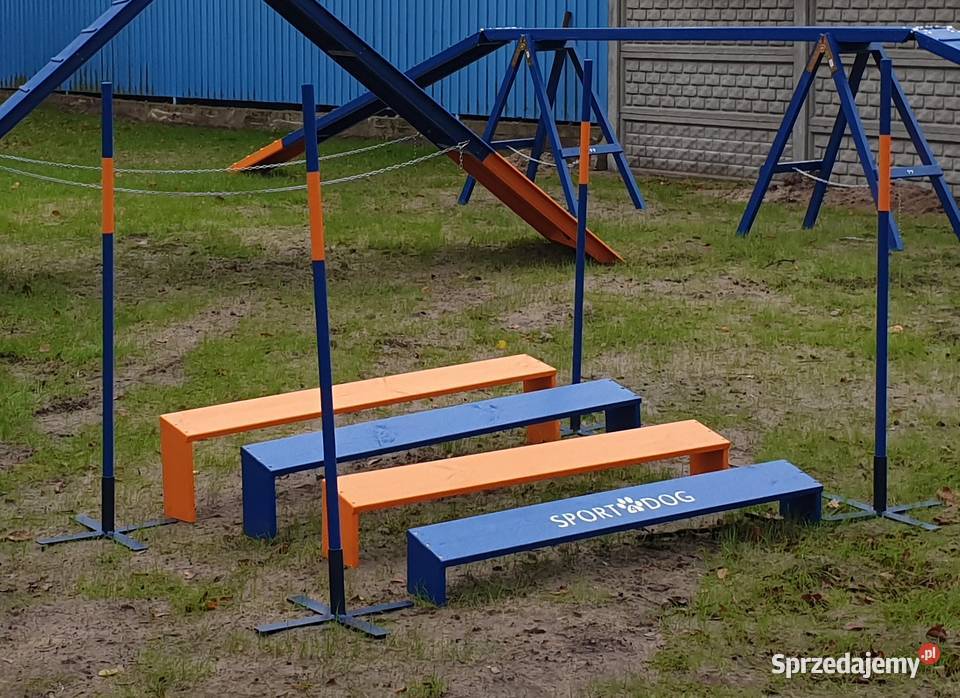 Skok w dal do agility (nowy)