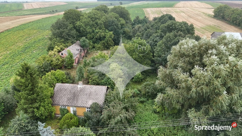 Gospodarstwo rolne dom pole i sad 088 ha asfalt Telatyn sprzedam