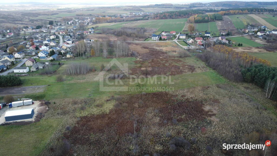 Działka 6500 m2 w Łukowej gm Chęciny polna