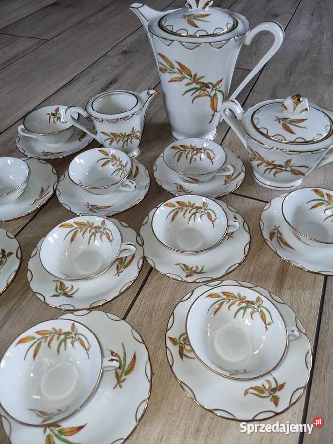 Serwis kawowy 11 osób Porcelana Francuska wielkopolskie Wola Podłężna