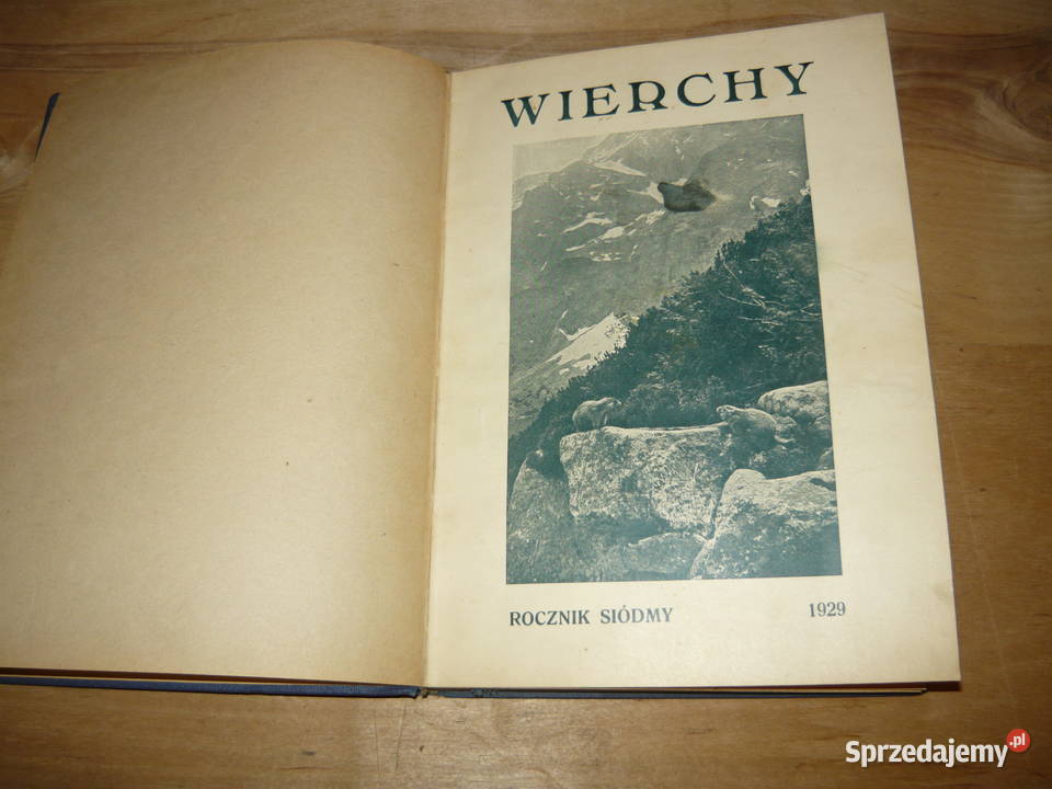 Wierchy siódmy 1929 Nowy Sącz sprzedam