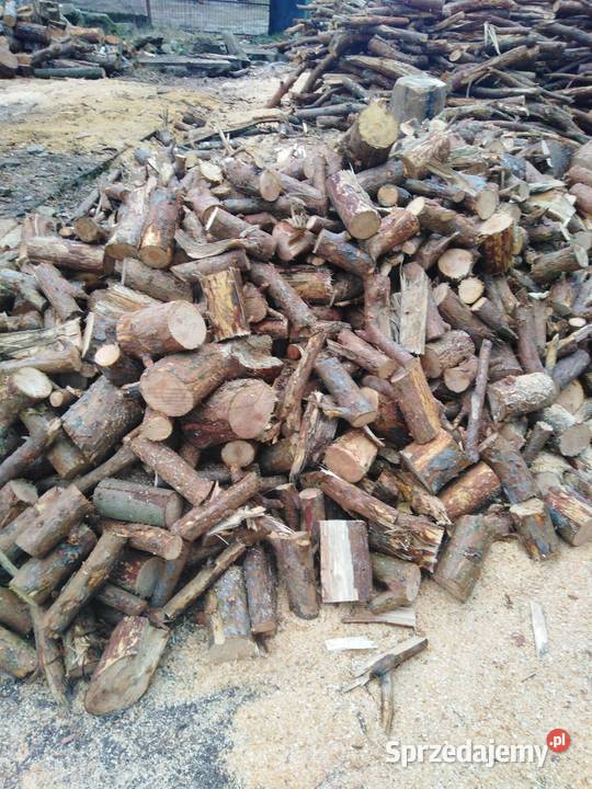 Drewno sosna Włocławek