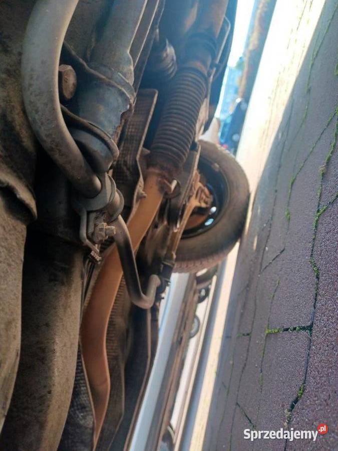 seicento 2004 11 Buk