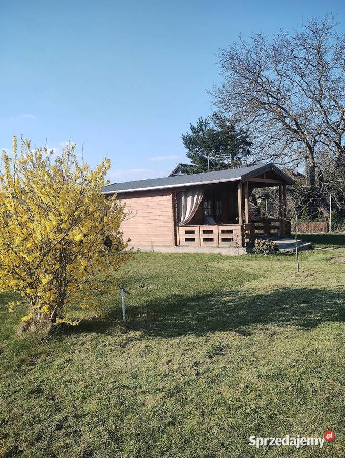 Sprzedam Działka ROD kanalizacja Międzychód