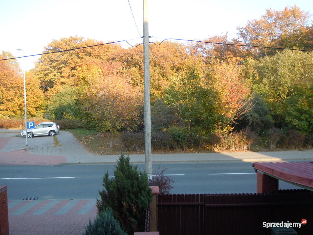 Gdynia Dom Morzem lasu cicha i spokojna dzielnic Domy pomorskie Gdynia