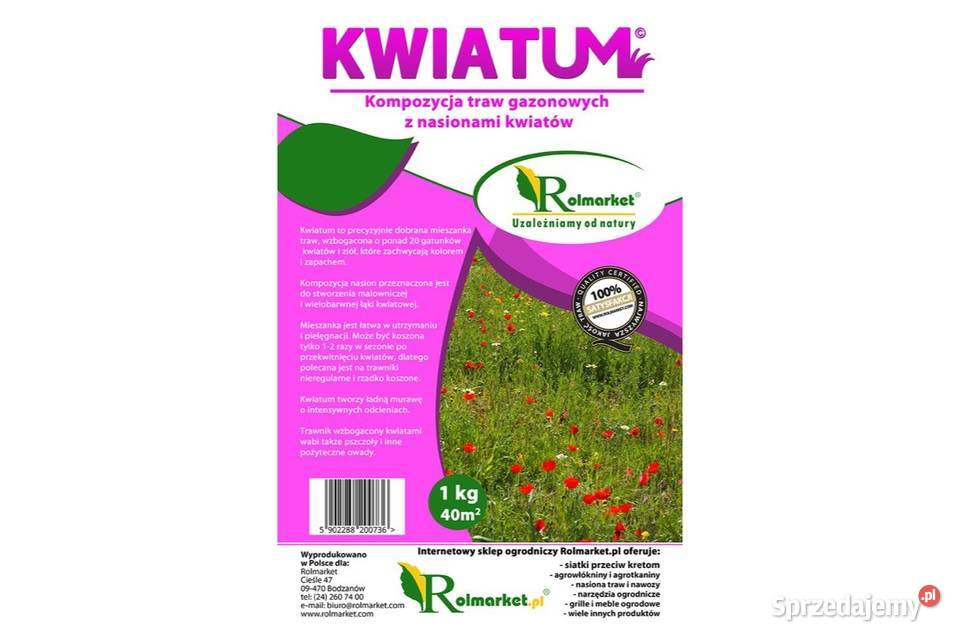 KWIETNA ŁĄKA NA TRAWNIK mix miododajna kwiatowa Cieśle