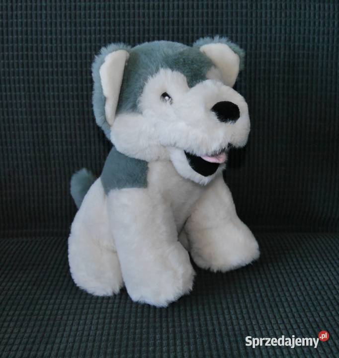 Maskotka piesek husky nowy