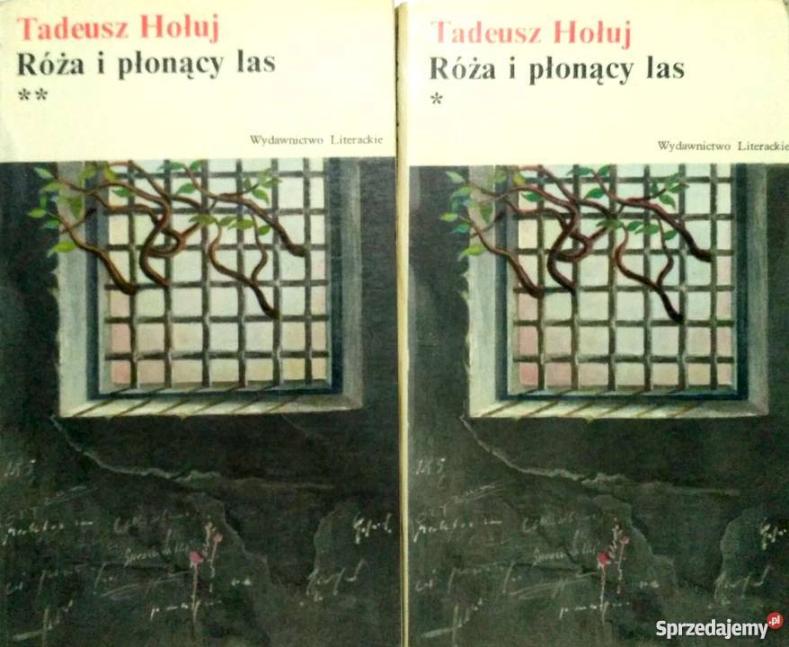 Hołuj Róża i płonący las cz1 cz2fa Goleniów