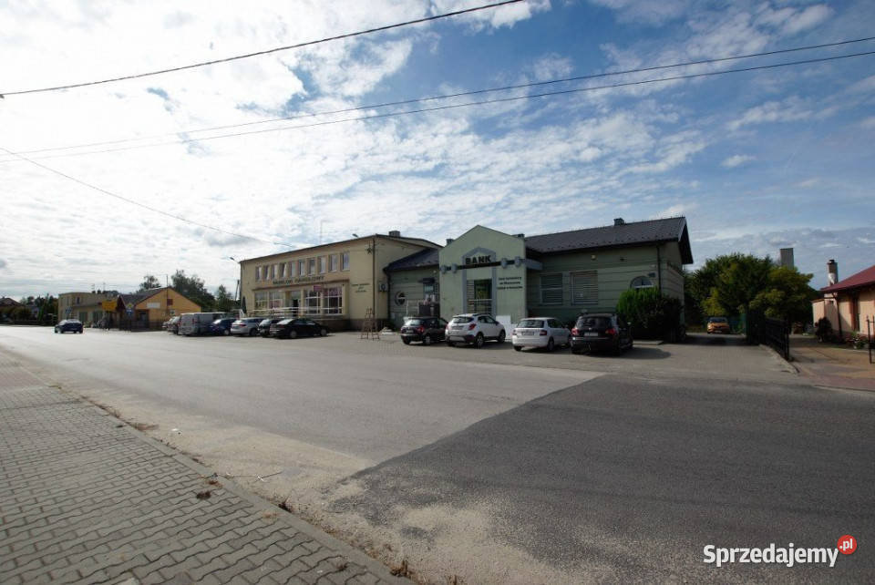 Lokal sprzedam 39593m2 Krasocin