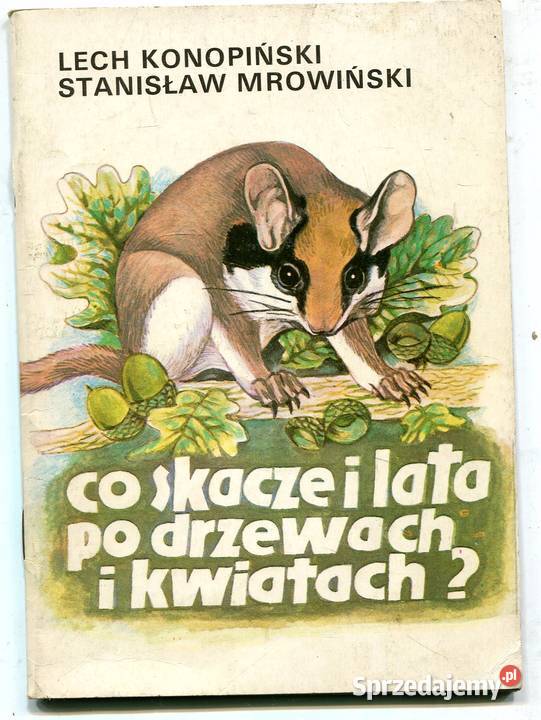 Co skacze i lata drzewach i kwiatach Szczecin