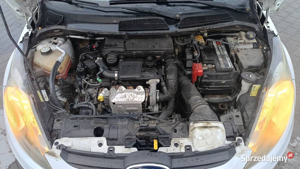 Ford Fiesta 1400cm3 Ford Wrocław