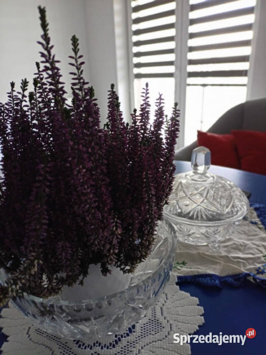 SPRZEDAM MIESZKANIE W ŁAŃCUCIE Liczba pokoi 1 Łańcut